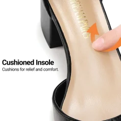 Annee Pointed Toe Low Chunky Heels Pump Shoes