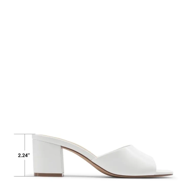 Dreamy Women’s Square Toe Low Heel Mules