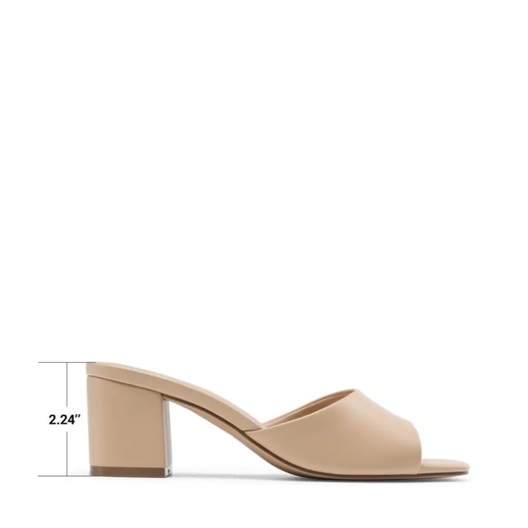 Dreamy Women’s Square Toe Low Heel Mules