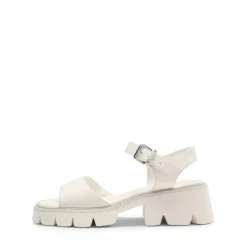 Platform Ankle Strap Chunky Heel Sandals