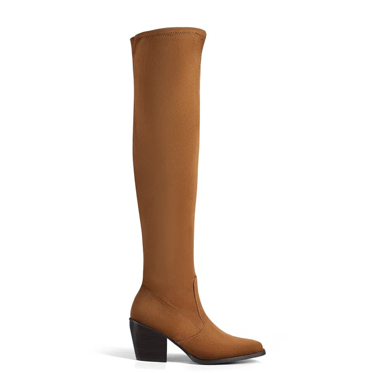 Pointed Toe Thigh High Boots
