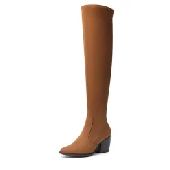 Pointed Toe Thigh High Boots