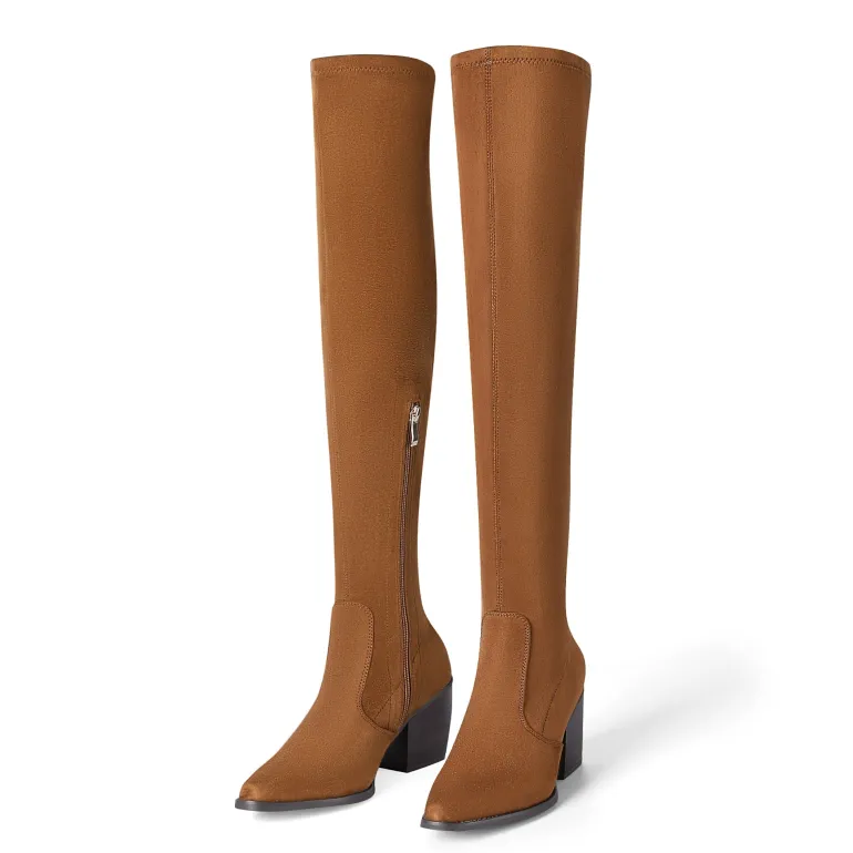 Pointed Toe Thigh High Boots