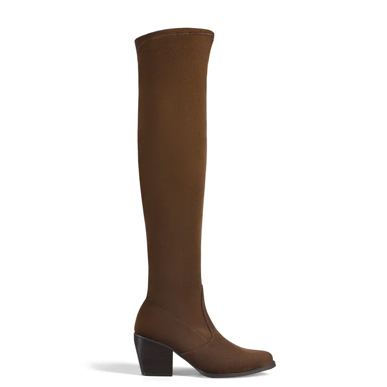 Pointed Toe Thigh High Boots