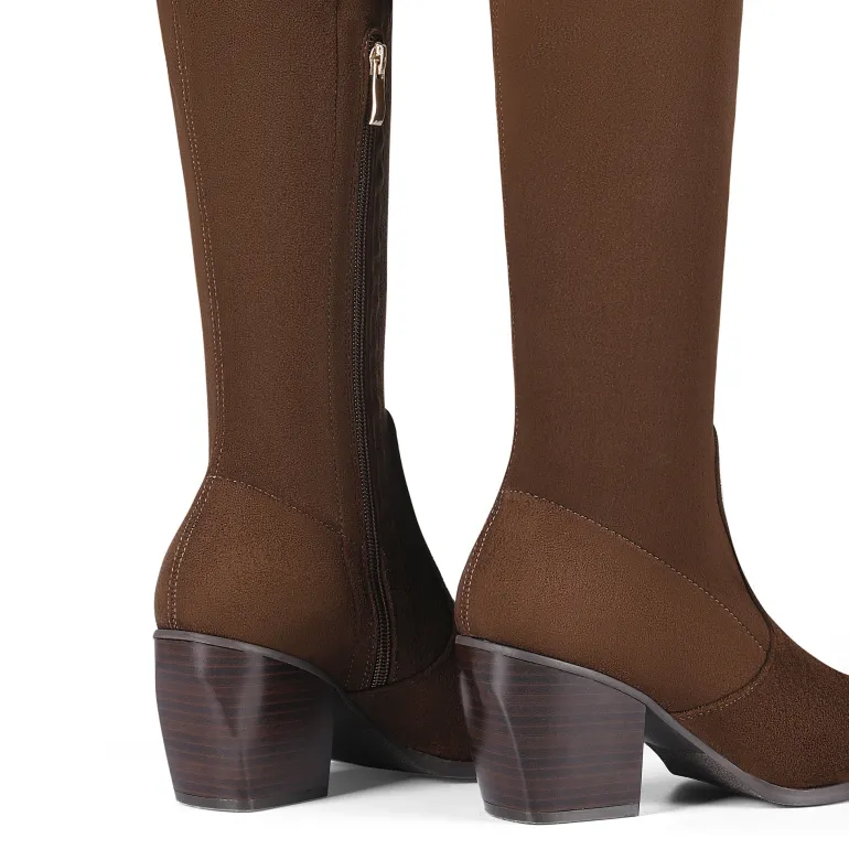 Pointed Toe Thigh High Boots