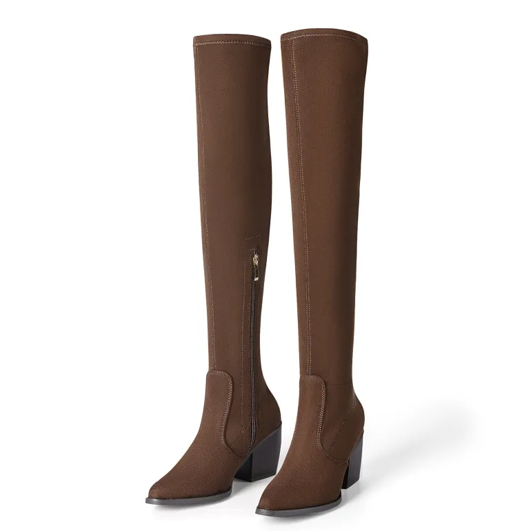 Pointed Toe Thigh High Boots