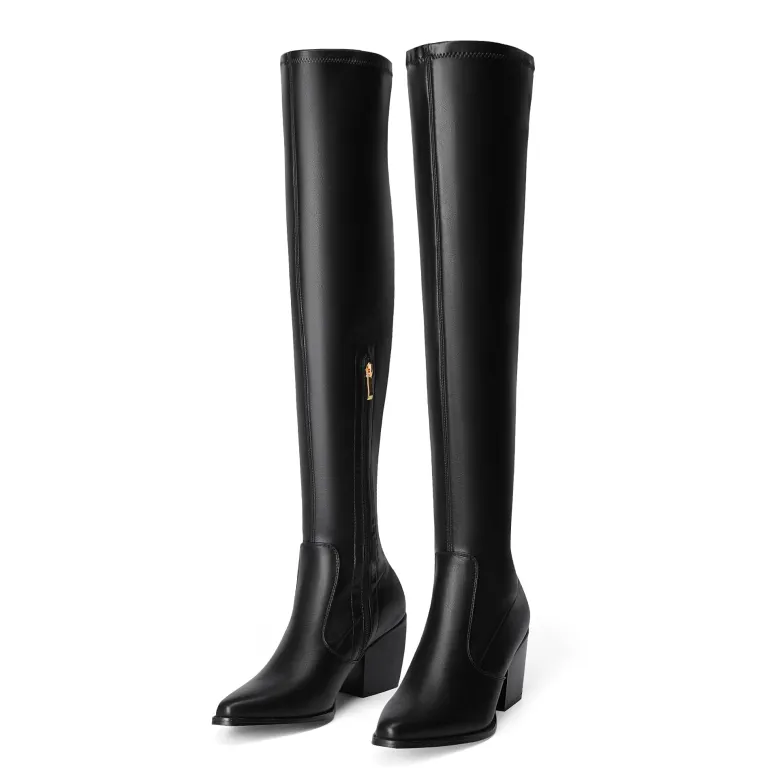 Pointed Toe Thigh High Boots