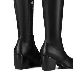 Pointed Toe Thigh High Boots